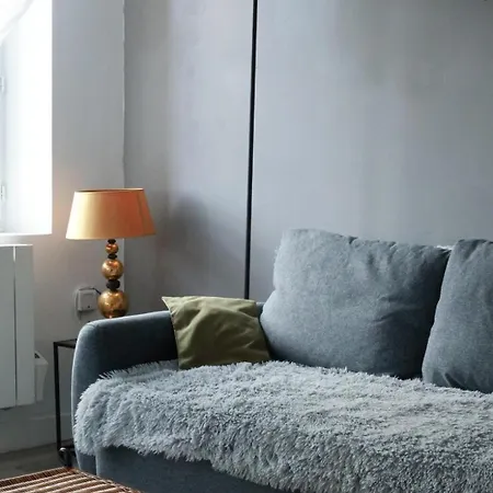Le Pont Saint Roch Lumineux Avec Garage Apartment *