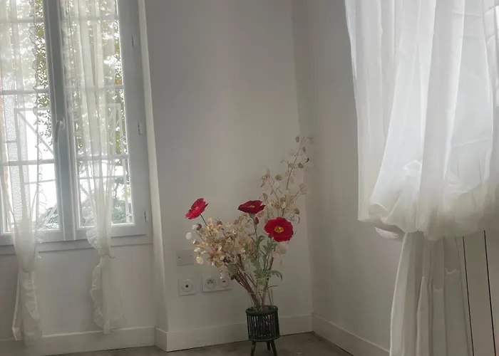 Le Pont Saint Roch Lumineux Avec Garage Appartement Lavaur (Tarn)