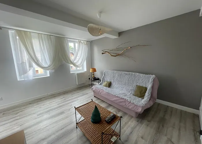 Appartement Le Pont Saint Roch Lumineux Avec Garage *