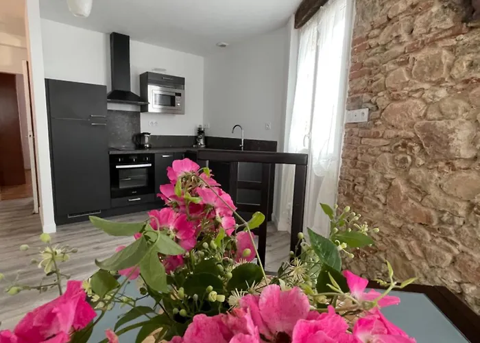 Le Pont Saint Roch Lumineux Avec Garage Lavaur (Tarn)