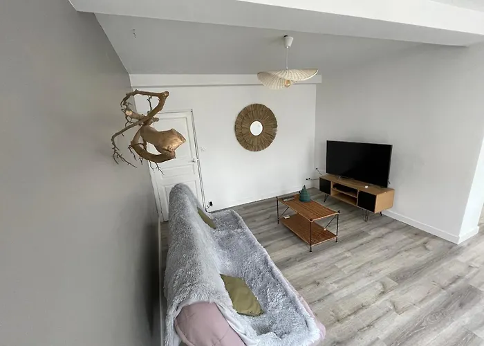 Appartement Le Pont Saint Roch Lumineux Avec Garage Lavaur (Tarn)