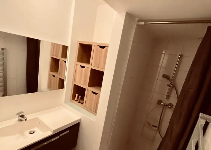 Le Pont Saint Roch Lumineux Avec Garage Apartment