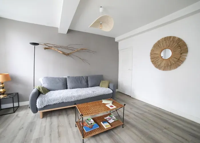 Le Pont Saint Roch Lumineux Avec Garage *